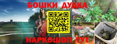 дживик Кингисепп
