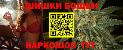 дживик Кингисепп