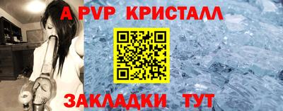 дживик Кингисепп