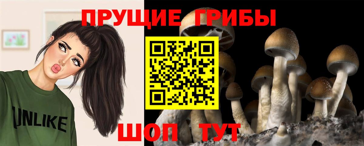 Псилоцибиновые грибы ЛСД  Галлюциногенные грибы прущие грибы  купить наркотики сайты  Кубинка  Вход с VPN 